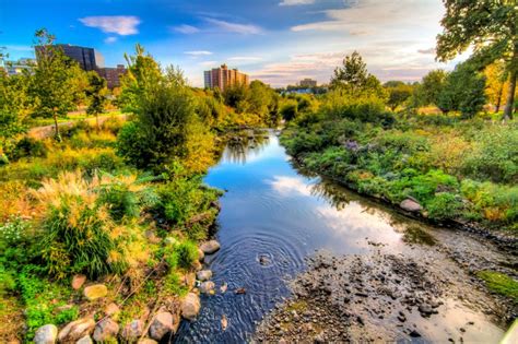 beltrán prada|Art installation 'The Seed' planted in Stamford's Mill River Park.